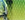 0001_Savage_gear_Deviator_Swim__[Chrome_Perch].jpg